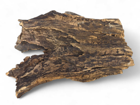 An irregular, dark brown wood piece with deeply grooved, weathered texture and lighter golden-brown streaks.