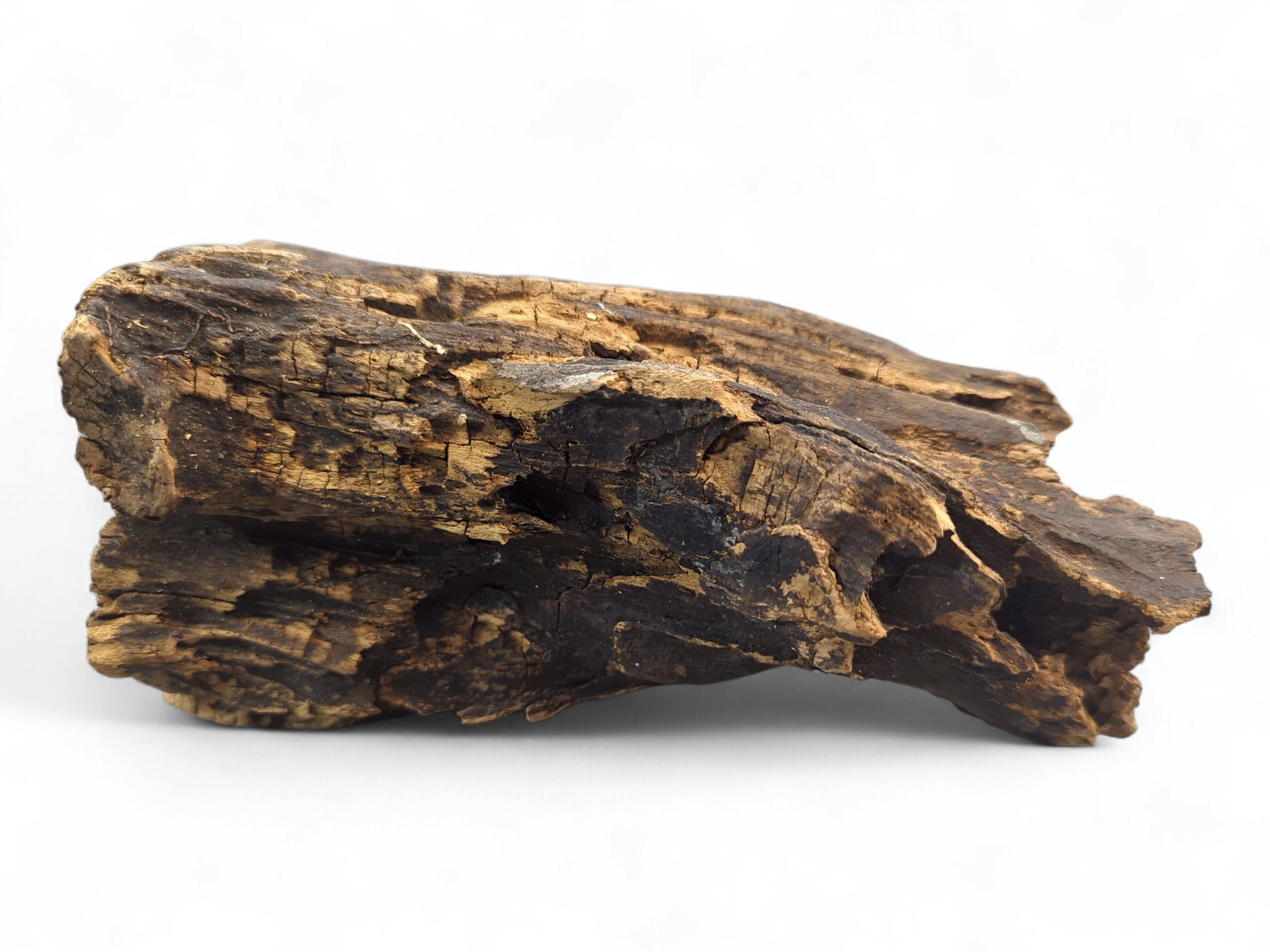 Irregular dark brown driftwood piece, deeply grooved with weathered texture and prominent lighter tan-gold streaks.