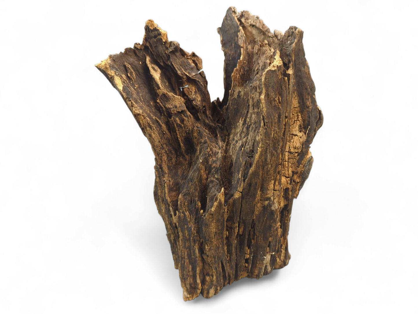 Weathered, dark brown and golden-brown driftwood sculpture, deeply textured with cracks, on a white background.