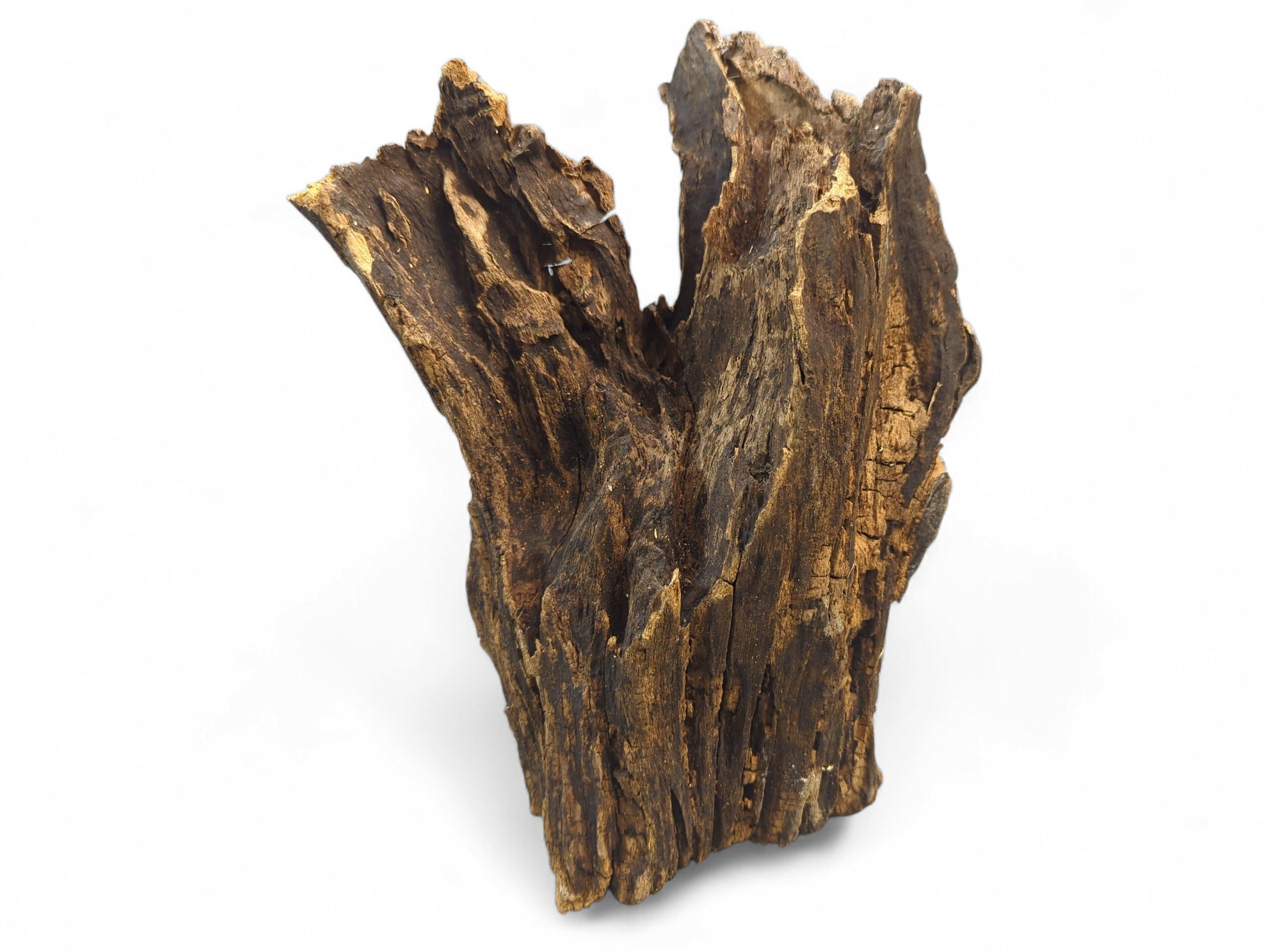 Weathered, dark brown and golden-brown driftwood sculpture, deeply textured with cracks, on a white background.
