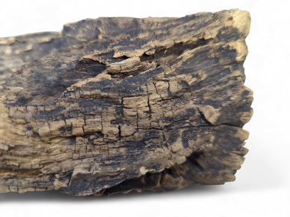 Aged dark brown wood piece, deeply textured and fissured, showing lighter weathered tan-gold areas.