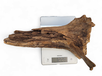 Gnarled, dark brown root wood piece with rough texture and cracks, weighing 1228 on a digital scale.