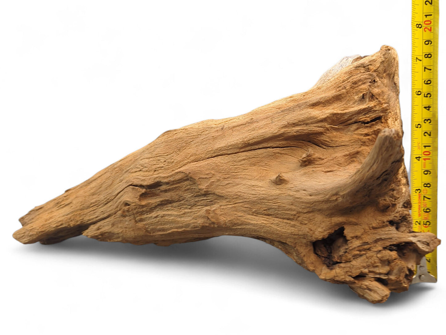 Rough, light brown driftwood section with deep irregular grooves and splintered areas, measured by yellow tape.