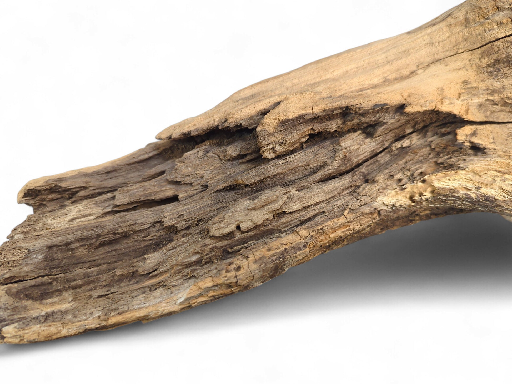 Irregularly shaped driftwood piece featuring weathered brown tones, deeply textured grain, and splintered surfaces.