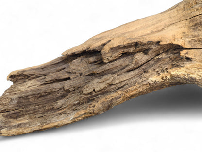 Irregularly shaped driftwood piece featuring weathered brown tones, deeply textured grain, and splintered surfaces.