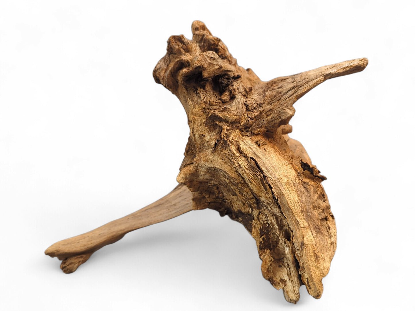 An untreated natural wood piece, showing a twisted, rugged form, deep cracks, and warm brown hues.