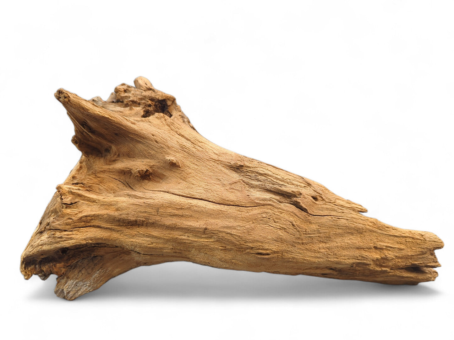An irregularly shaped piece of natural driftwood, displaying varied brown and tan tones with a rough, weathered texture.