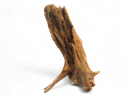 Untreated forest root wood, light brown, featuring deep grooves, a gnarled base, and splintered top.
