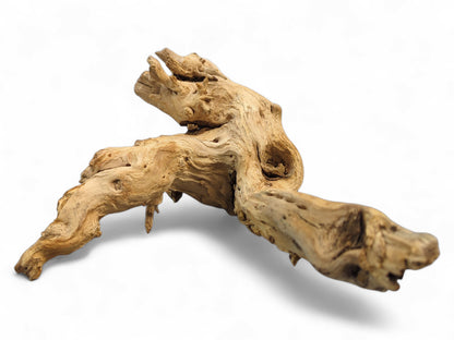 Light beige natural driftwood root sculpture, gnarled with rough textures and darker weathered markings.