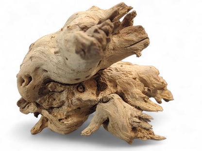 Weathered, gnarled driftwood root sculpture in light beige, showing intricate shapes and varied textures.
