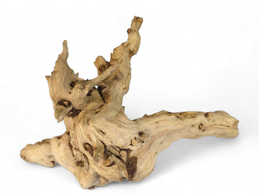 Natural sun-bleached gnarled forest driftwood root with intricate shapes, light beige color, and varied textures.