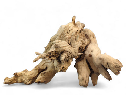 Gnarled, sun-bleached driftwood root piece with a light beige color and varied, intricate textures.