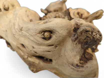 Intricate sun-bleached driftwood root displays a prominent eye-like knot, gnarled shapes, and dark brown markings.