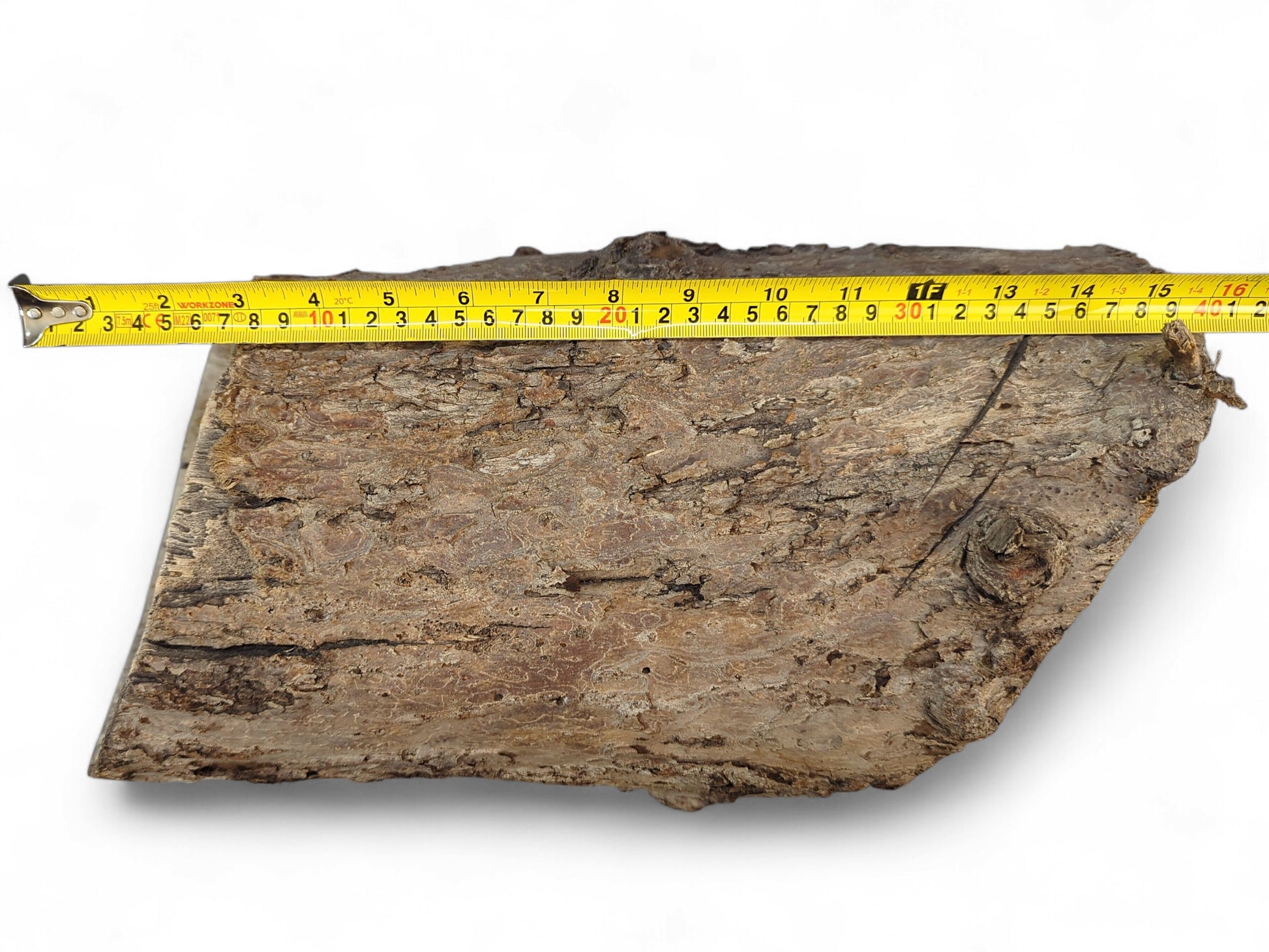 Irregularly shaped grey-brown wood log surface displaying rough bark texture and a yellow measuring tape.