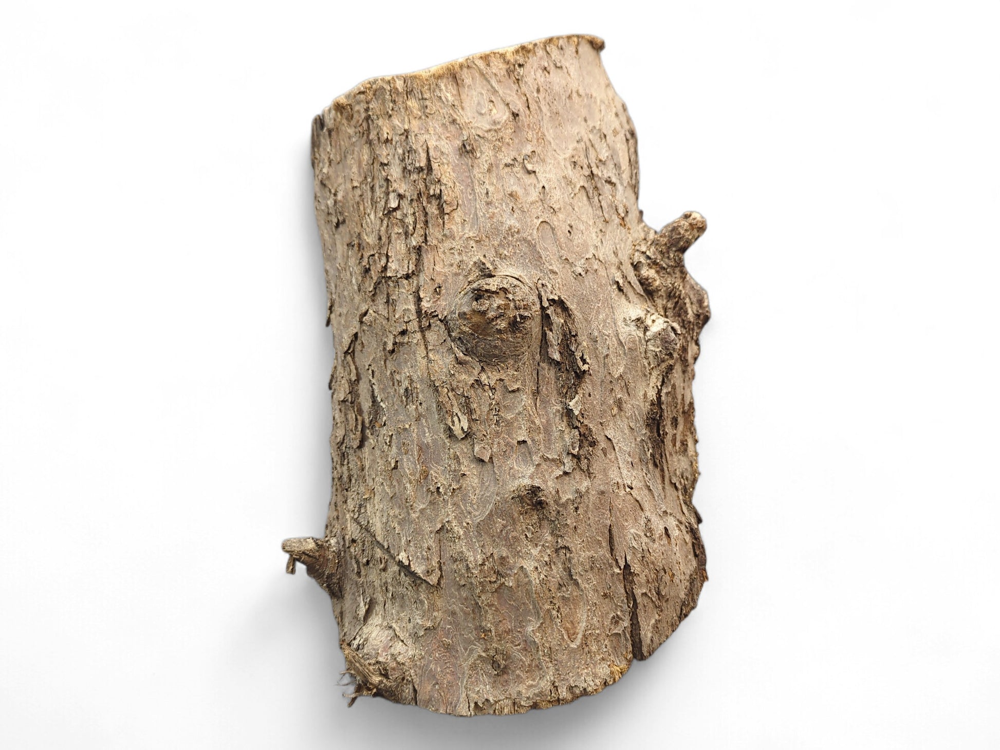 Irregularly shaped wood log section with rough, textured brown-grey bark and small branch protrusions.