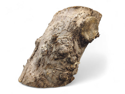 Rough, textured grey-brown hollow log with an irregular shape, prominent branch stub, and visible cut ends.
