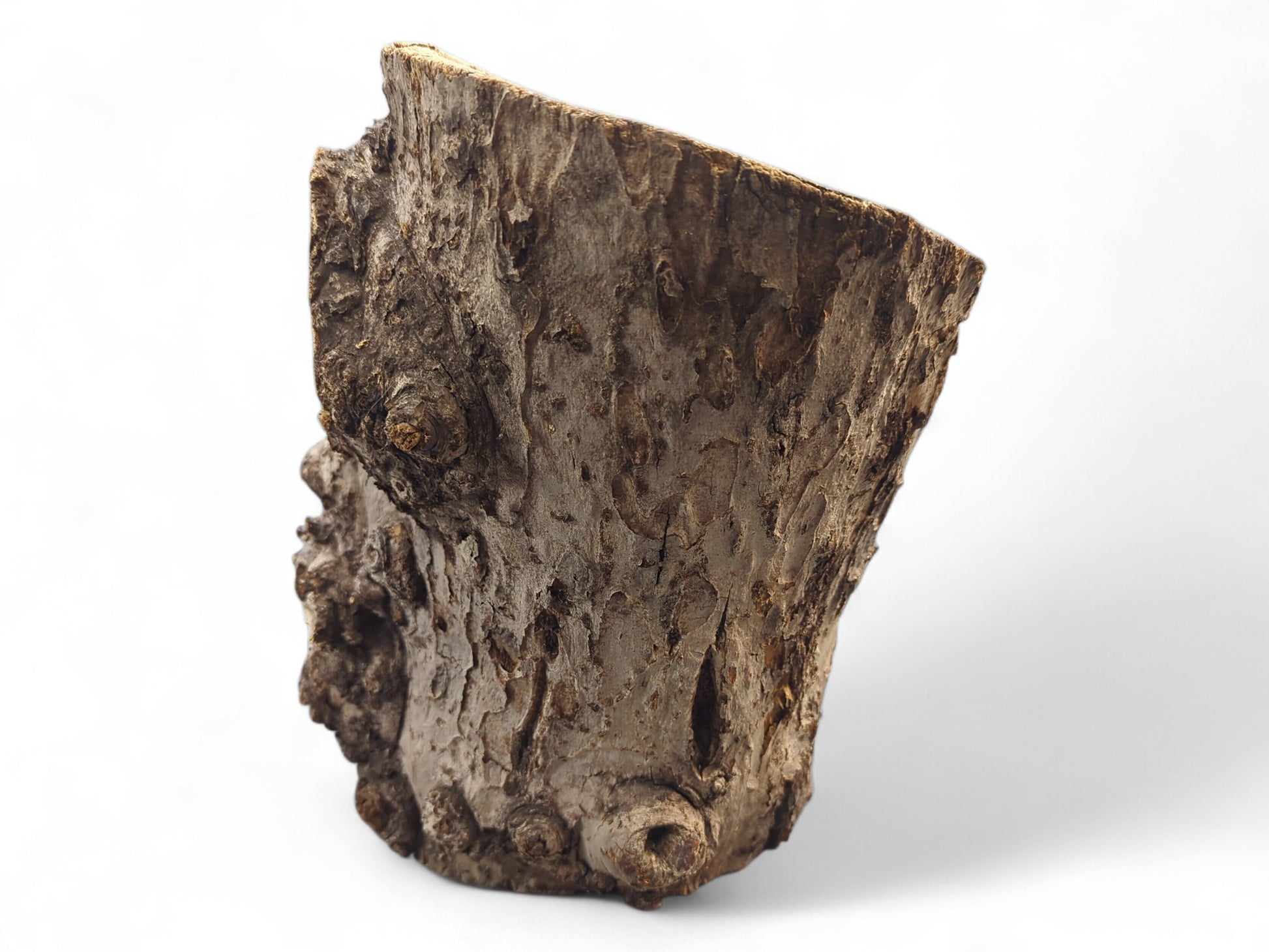 Untreated grey-brown wood log piece with rough, gnarled bark texture against a white background.