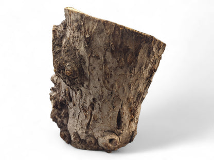 Untreated grey-brown wood log piece with rough, gnarled bark texture against a white background.