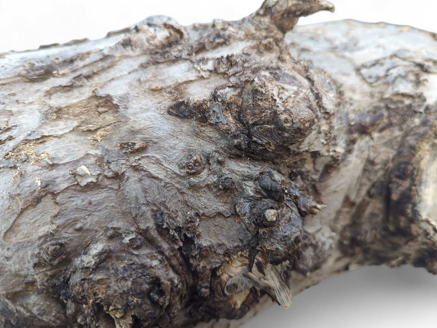 Untreated wood log surface featuring deeply textured, gnarled grey-brown bark with prominent dark knots and peeling sections.