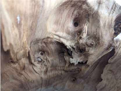 Natural light brown wood features deeply gnarled texture, swirling grain, small holes, and prominent knots.