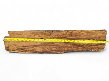 A rustic brown wood fragment with a deeply grooved, flaking surface and a yellow measuring tape.