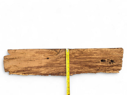 Textured brown wood fragment displaying deep fissures, extensive flaking, boreholes, and a vertical yellow tape measure.