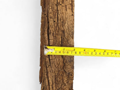 Dark brown wood fragment with deep cracks and flaking texture, measured horizontally by a yellow tape measure.