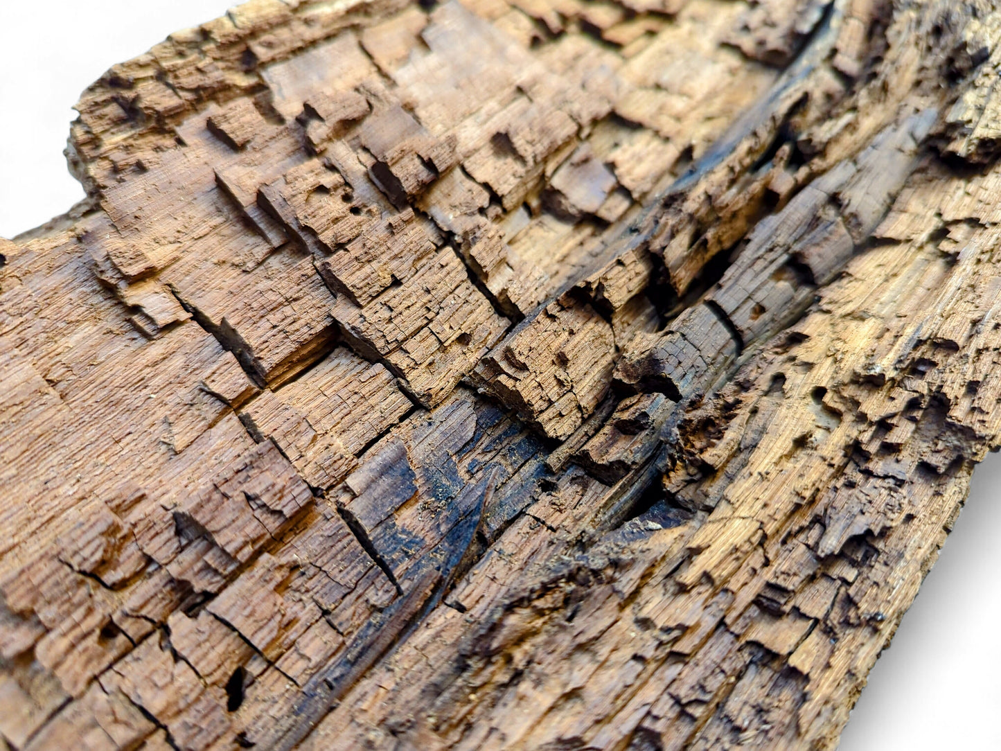 Close-up image revealing a highly textured wood piece with fractured surfaces, deep furrows, and varied brown tones.