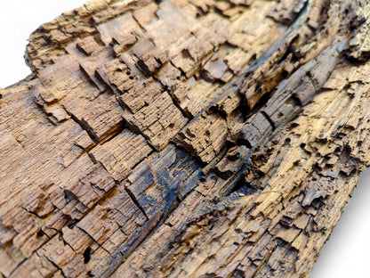 Close-up image revealing a highly textured wood piece with fractured surfaces, deep furrows, and varied brown tones.