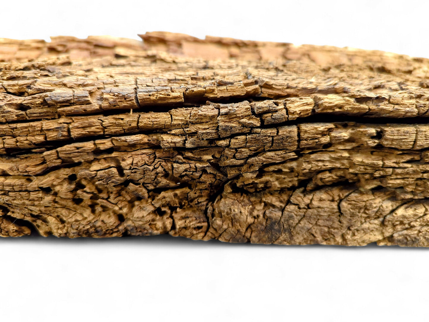 An aged brown wood fragment, showing deep fissures, extensive cracking, flaking texture, and numerous boreholes.