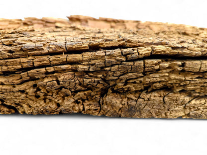 An aged brown wood fragment, showing deep fissures, extensive cracking, flaking texture, and numerous boreholes.