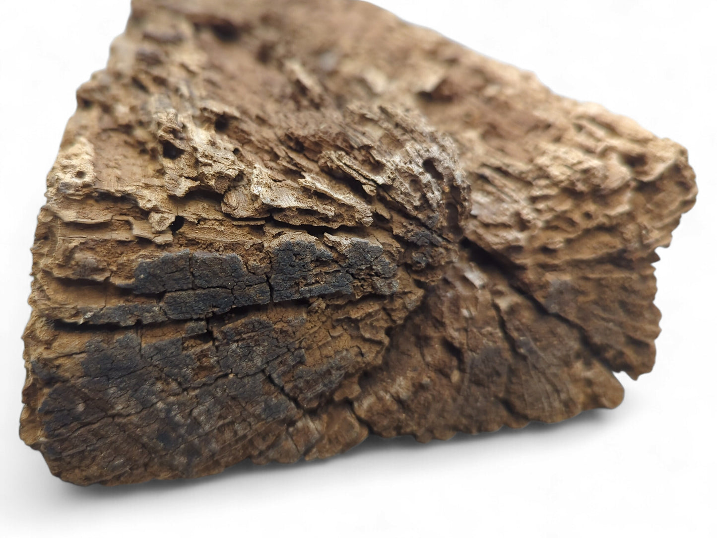 Chunky, multi-toned brown wood fragment displaying deep cracks, extensive flaking, and a rough, crumbly surface.