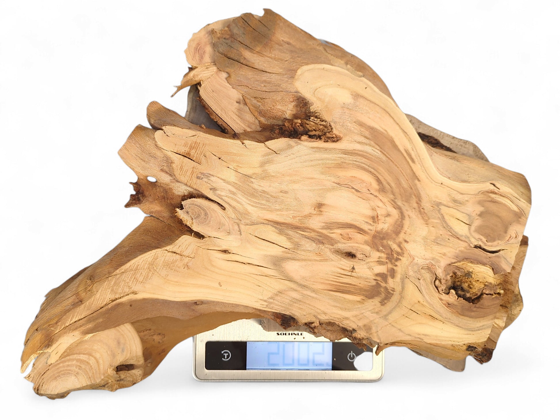 An irregular, light brown wood slice with dark grain patterns rests on a scale displaying 200.2.