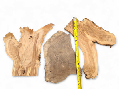 Unfinished wood slices with live edges, varying brown tones, visible grain, and a yellow measuring tape.