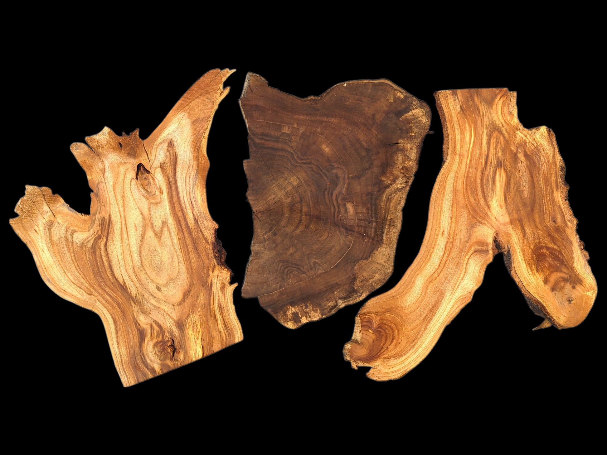 Varying brown wood slices feature irregular live edges, prominent grain patterns, and unique shapes.