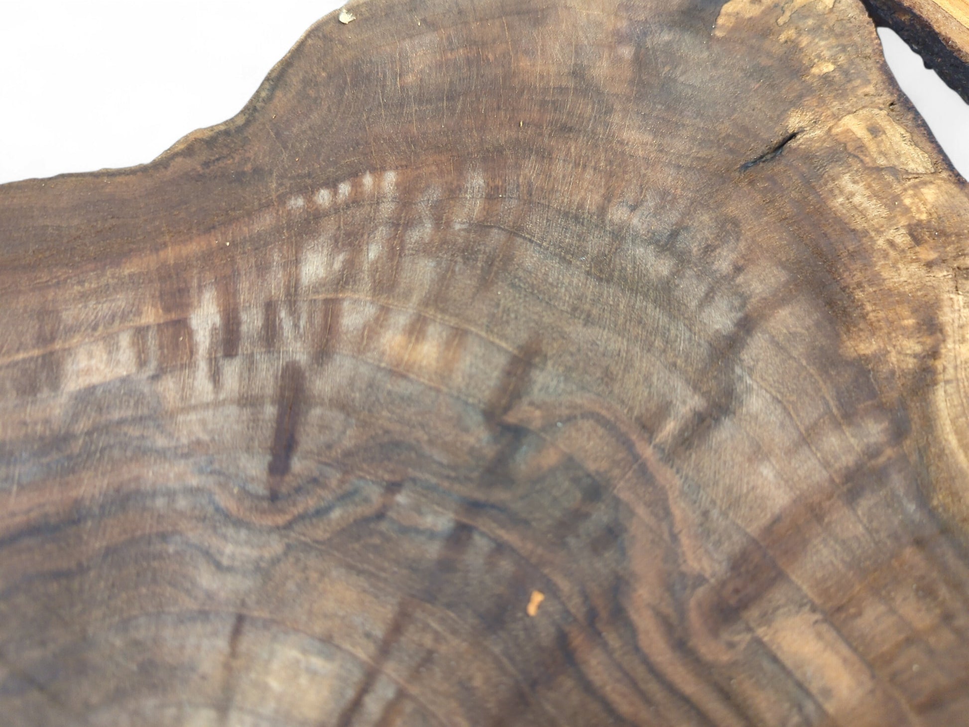 Unfinished wood slice features dark brown and grey wavy grain patterns with subtle lighter streaks and a crack.