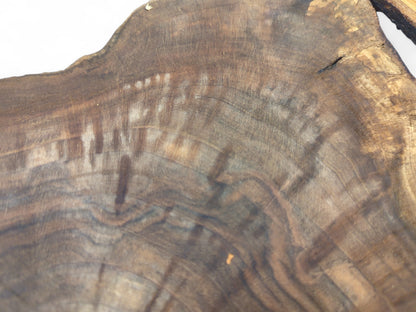 Unfinished wood slice features dark brown and grey wavy grain patterns with subtle lighter streaks and a crack.