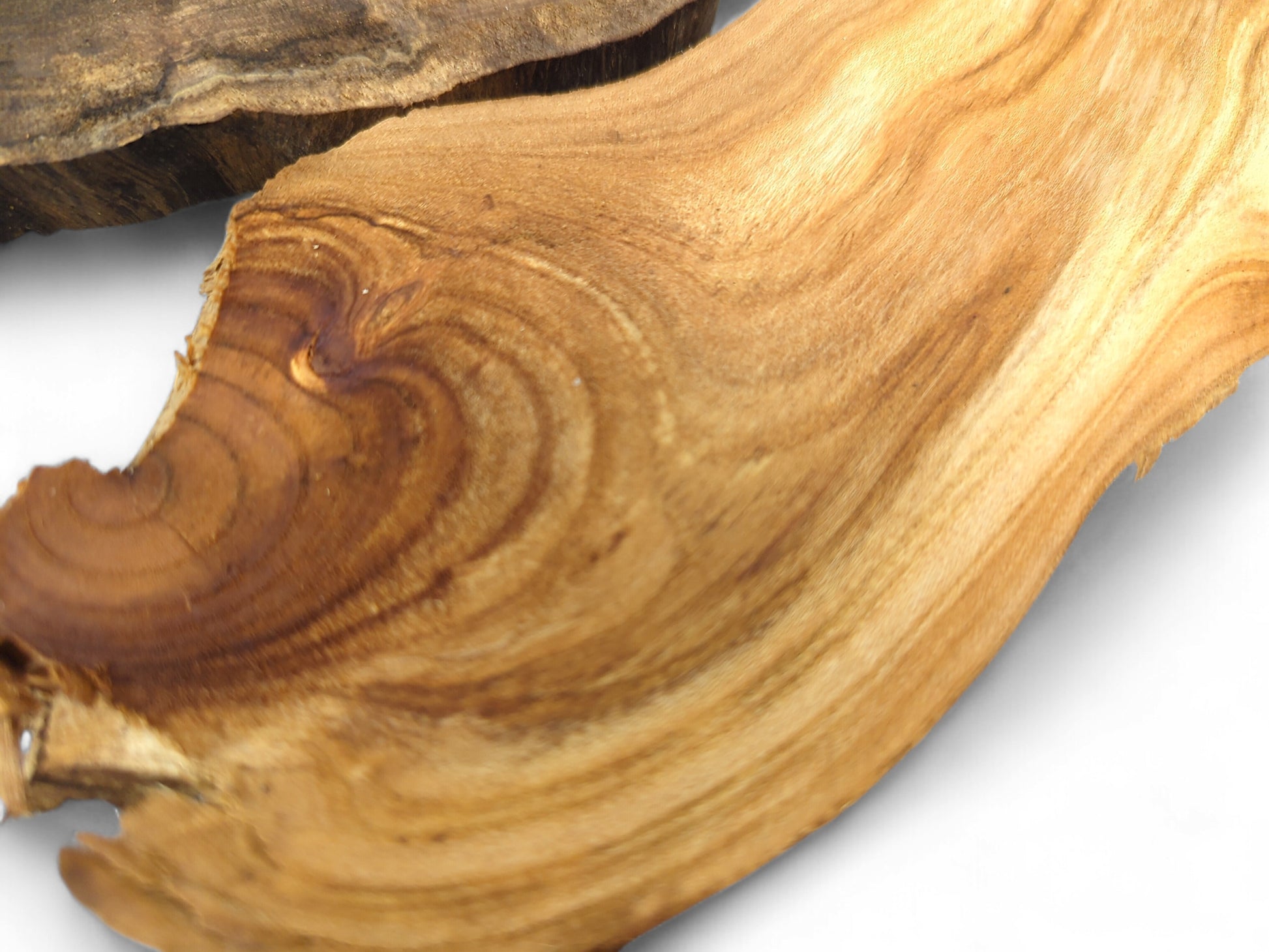 Irregular light brown wood slice shows dark wavy grain patterns and a natural knot on a white background.