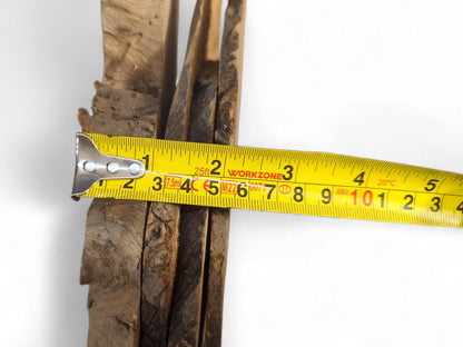 Yellow measuring tape indicates approximately four inches across several irregular, thin, brown wood slices.
