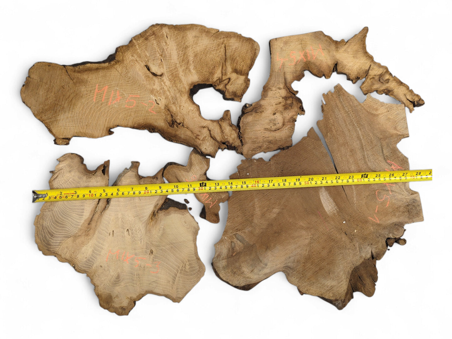 Six irregular brown wood slices display prominent grain, live edges, and a yellow tape measure.