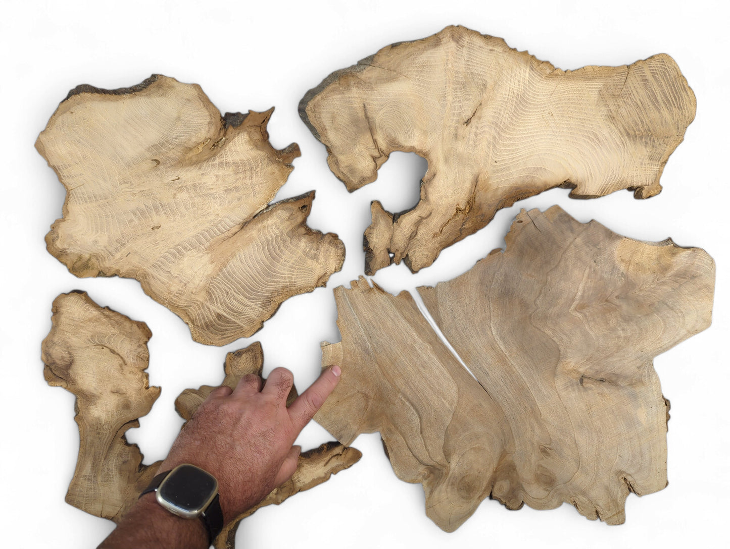 A hand points to multiple irregular, thin, light brown wood slices with dark live edges and grain.