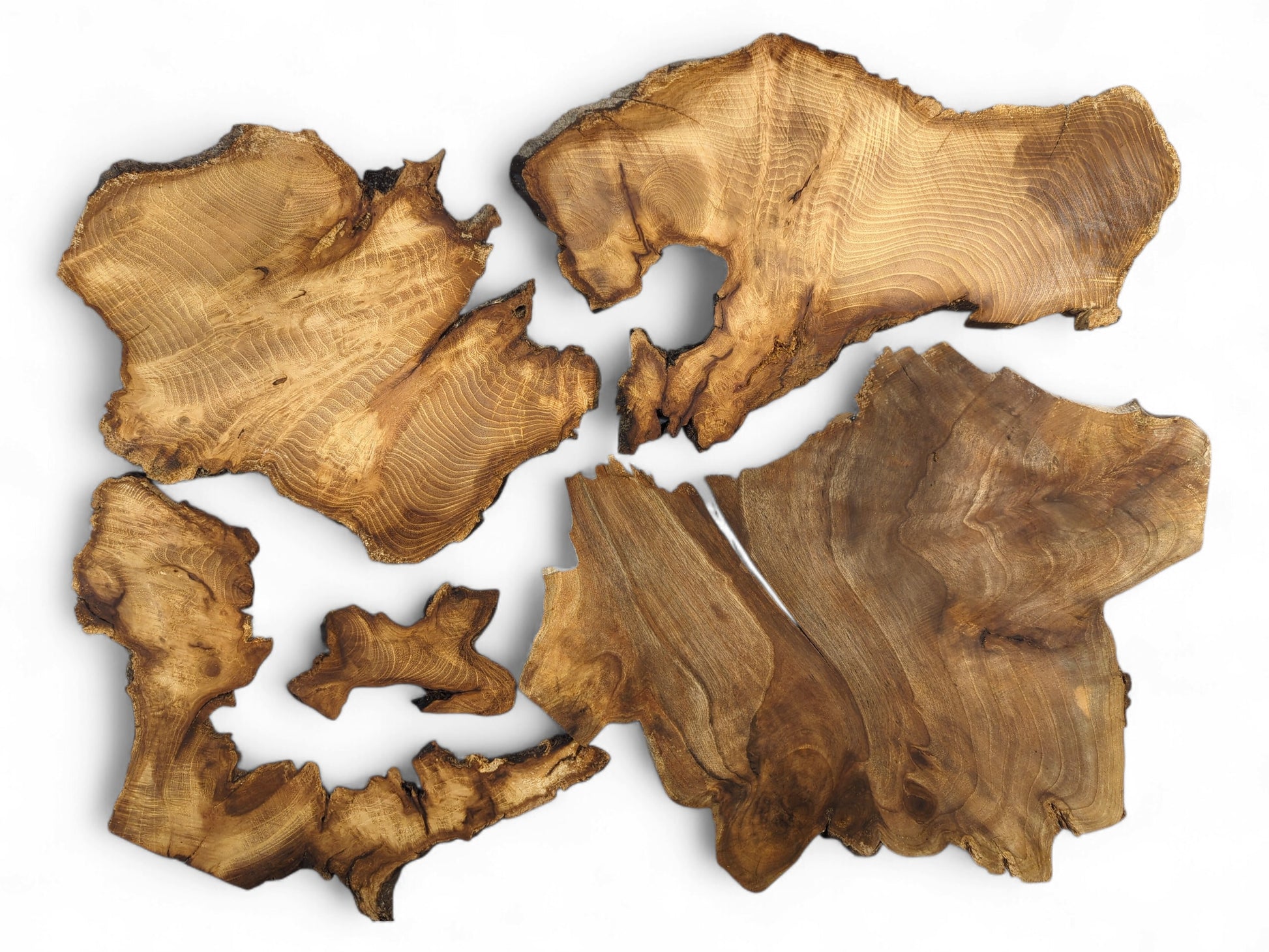Six irregular brown wood slices with prominent grain and dark live edges on a white background.