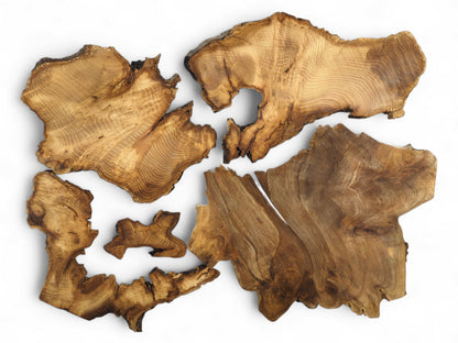 Six irregular brown wood slices with prominent grain and dark live edges on a white background.