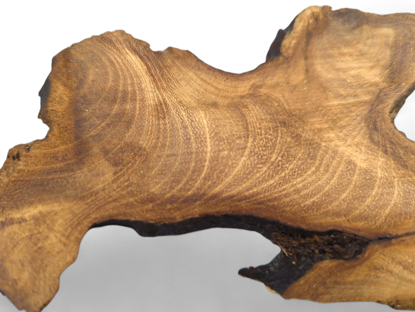 An irregular, thin, brown wood slice shows prominent, swirling grain and a dark live edge on white.