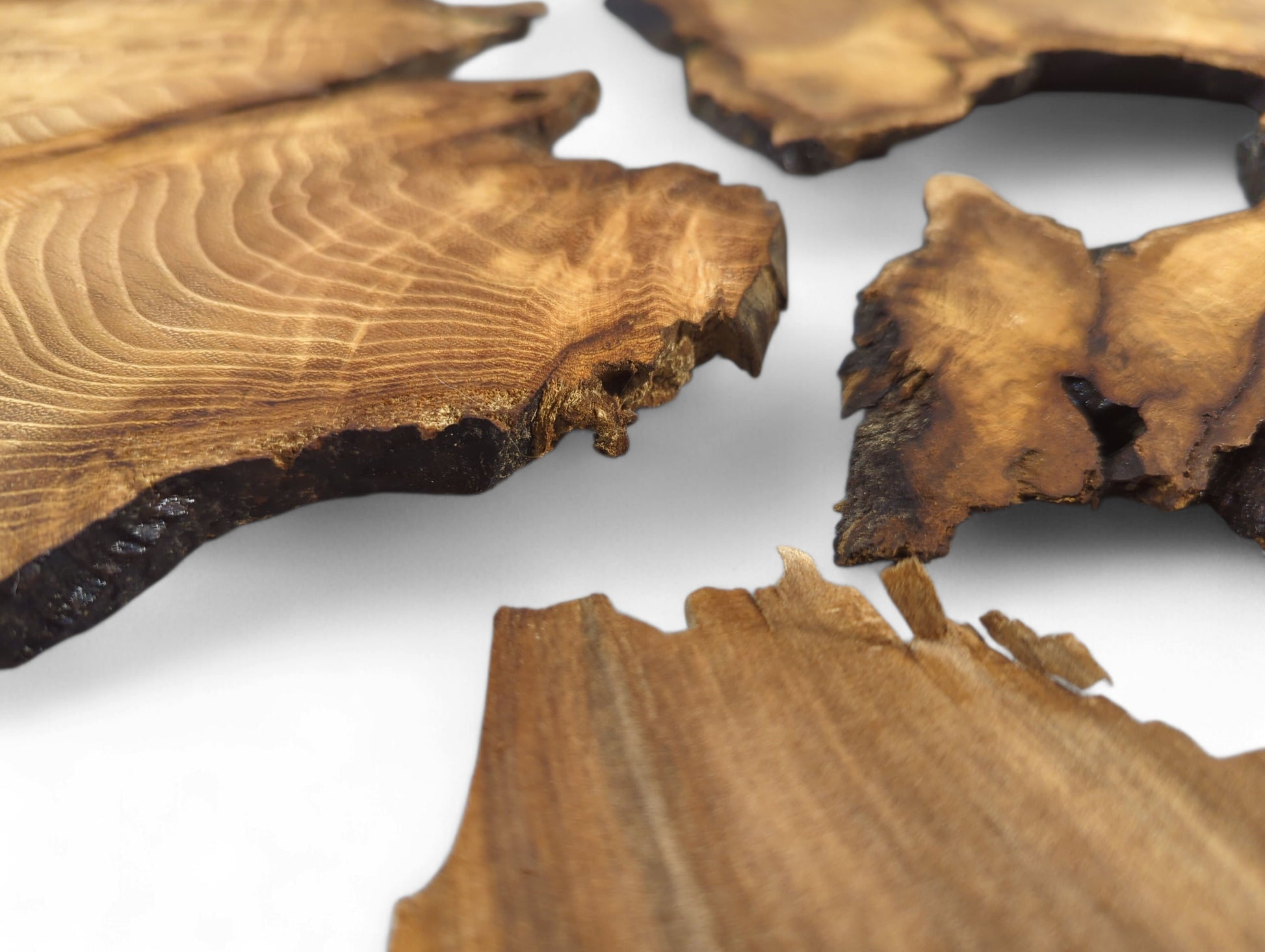 Four thin, irregular brown wood slices display prominent grain and dark live edges on a white background.