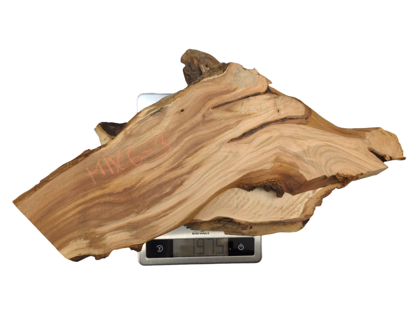 A light brown, irregular live edge wood slice with red text, on a digital scale showing '1975'.