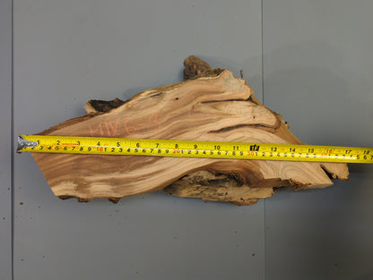 Irregular brown wood slice with live edge, prominent grain, red text, and a yellow measuring tape.