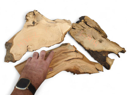 Hand with watch touches one of three irregular, live-edge wood slices displaying prominent grain and red numbers.