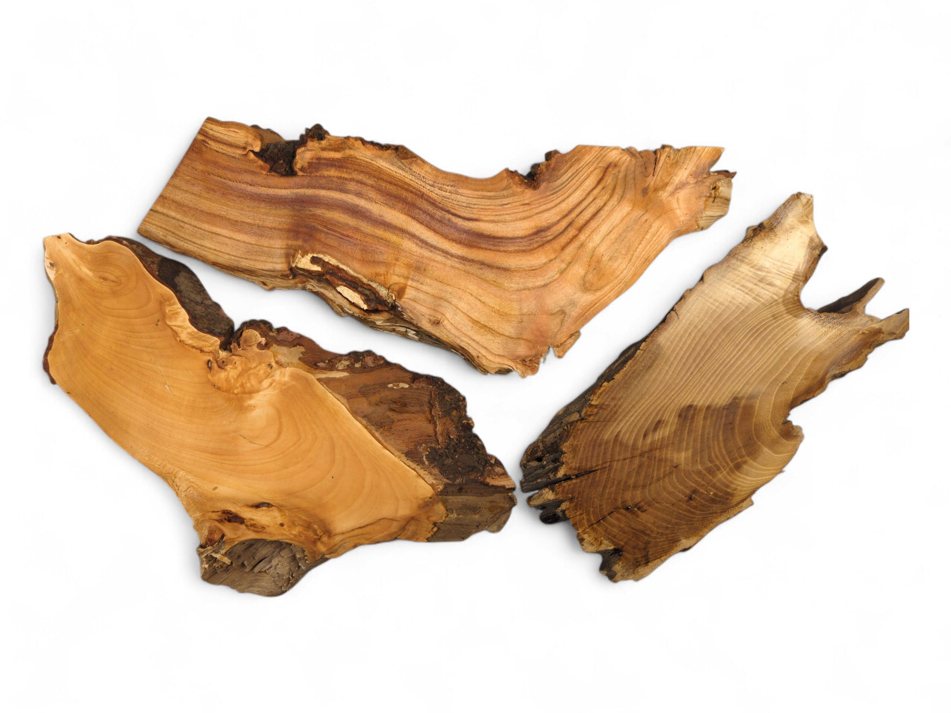 Assorted light brown, raw wood slices with irregular shapes, prominent grain, and dark, textured live edges.