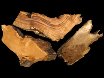 Various irregular, light brown wood slices with prominent grain and dark, textured live edges.